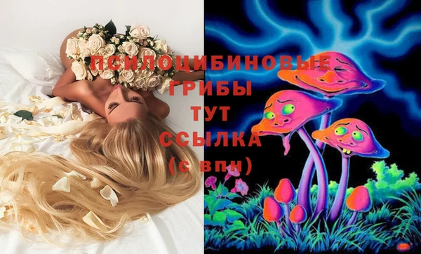прущий лед Вязьма