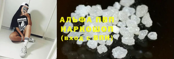 прущий лед Вязьма