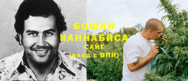 Альфа ПВП Вяземский