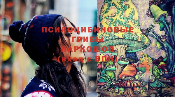 прущий лед Вязьма