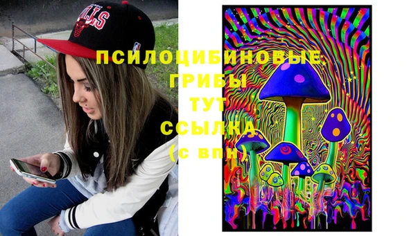 Альфа ПВП Вяземский