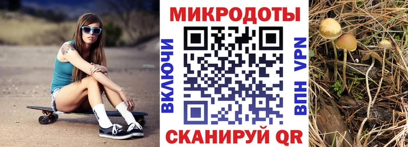 Псилоцибиновые грибы ЛСД  где можно купить наркотик  MEGA ссылка  Дедовск 
