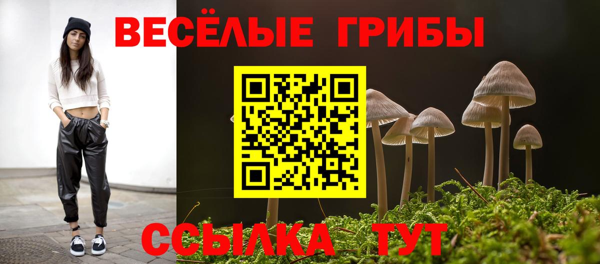 Псилоцибиновые грибы GOLDEN TEACHER Дедовск