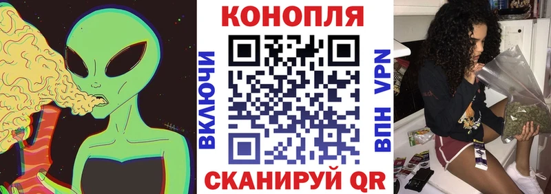 где можно купить наркотик Дедовск Каннабис Amnesia